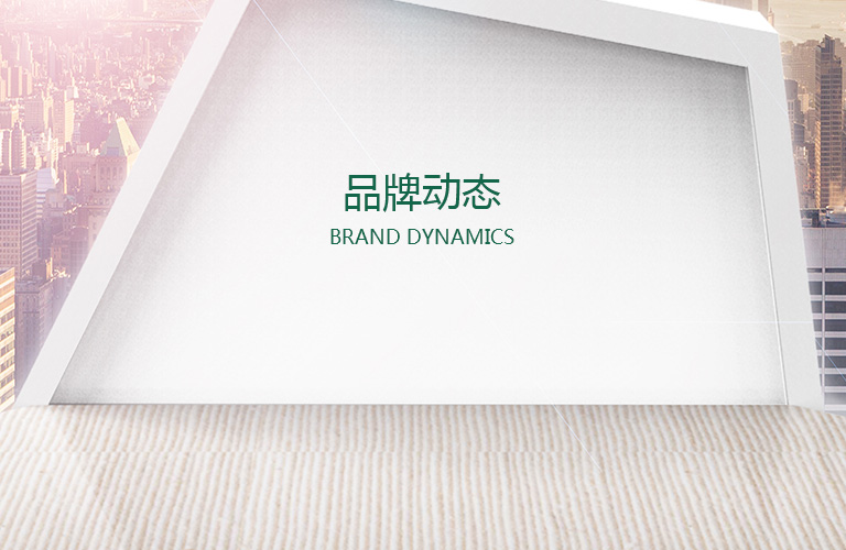 品牌动态