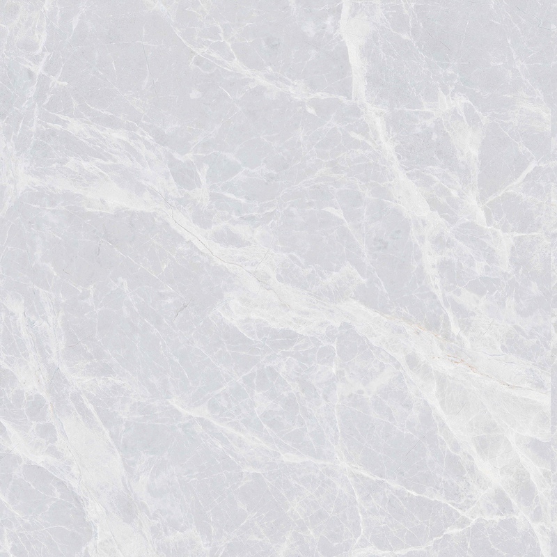 意大利银狐Y8535