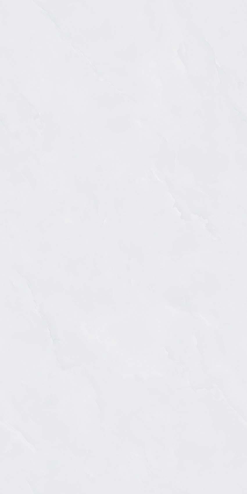 珀莱雅白玉Y640806