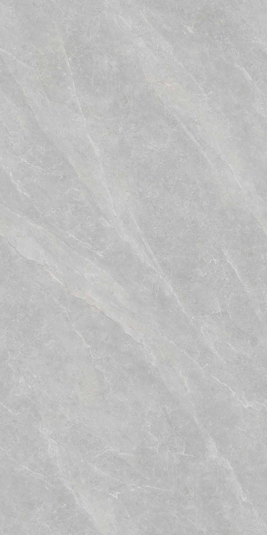 罗德里戈中灰Y361210