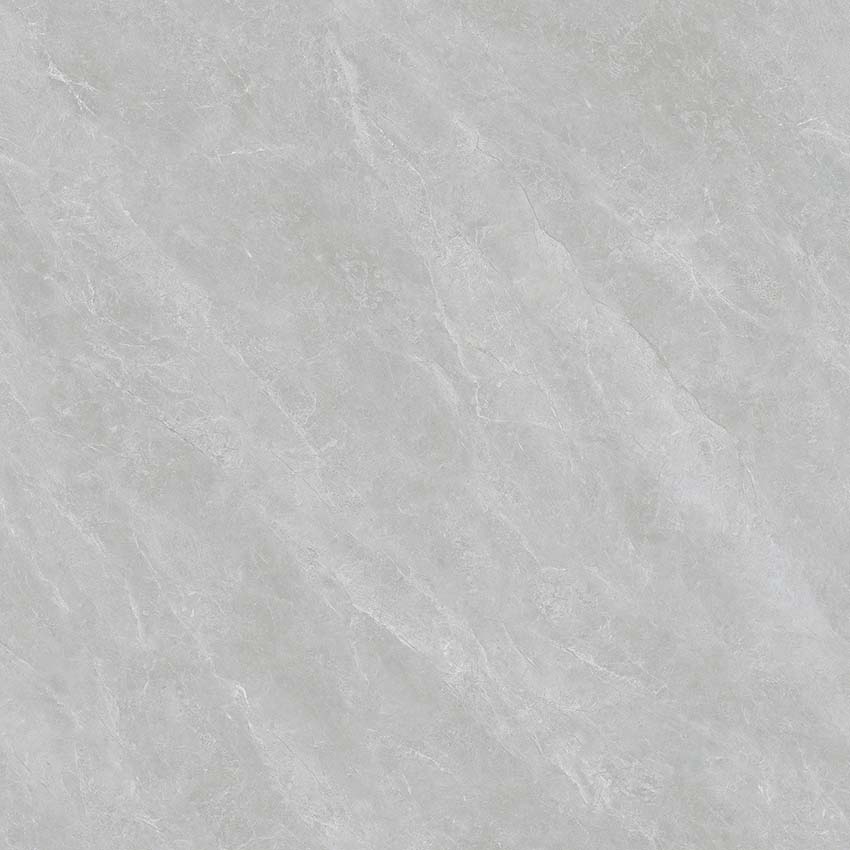 罗德里戈中灰Y68810