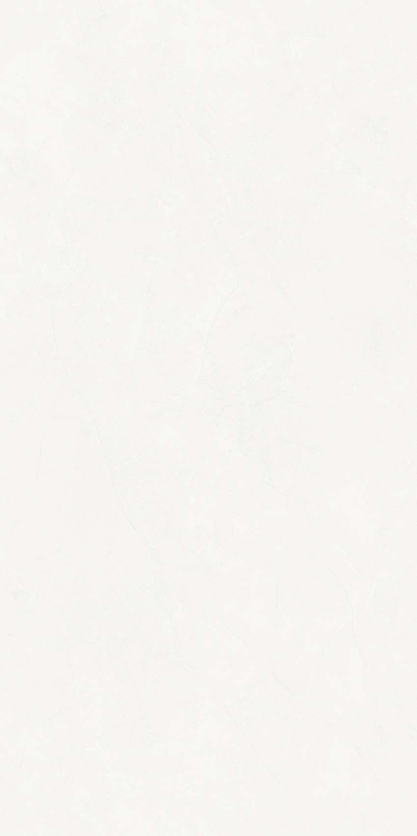 恩斯格米黄Y640801