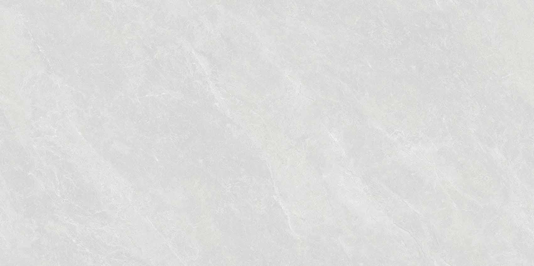 罗德里戈浅灰Y640809