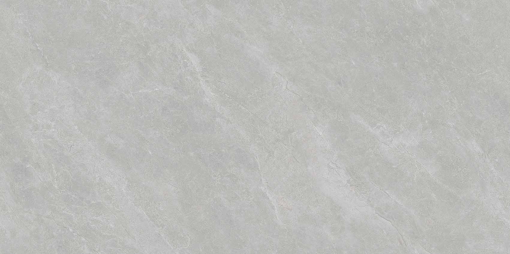 罗德里戈中灰Y640810