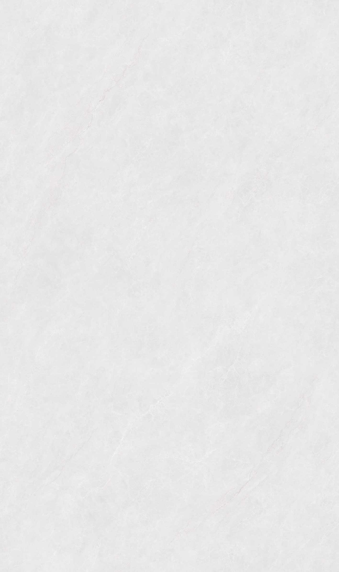 YC813504帕拉迪灰