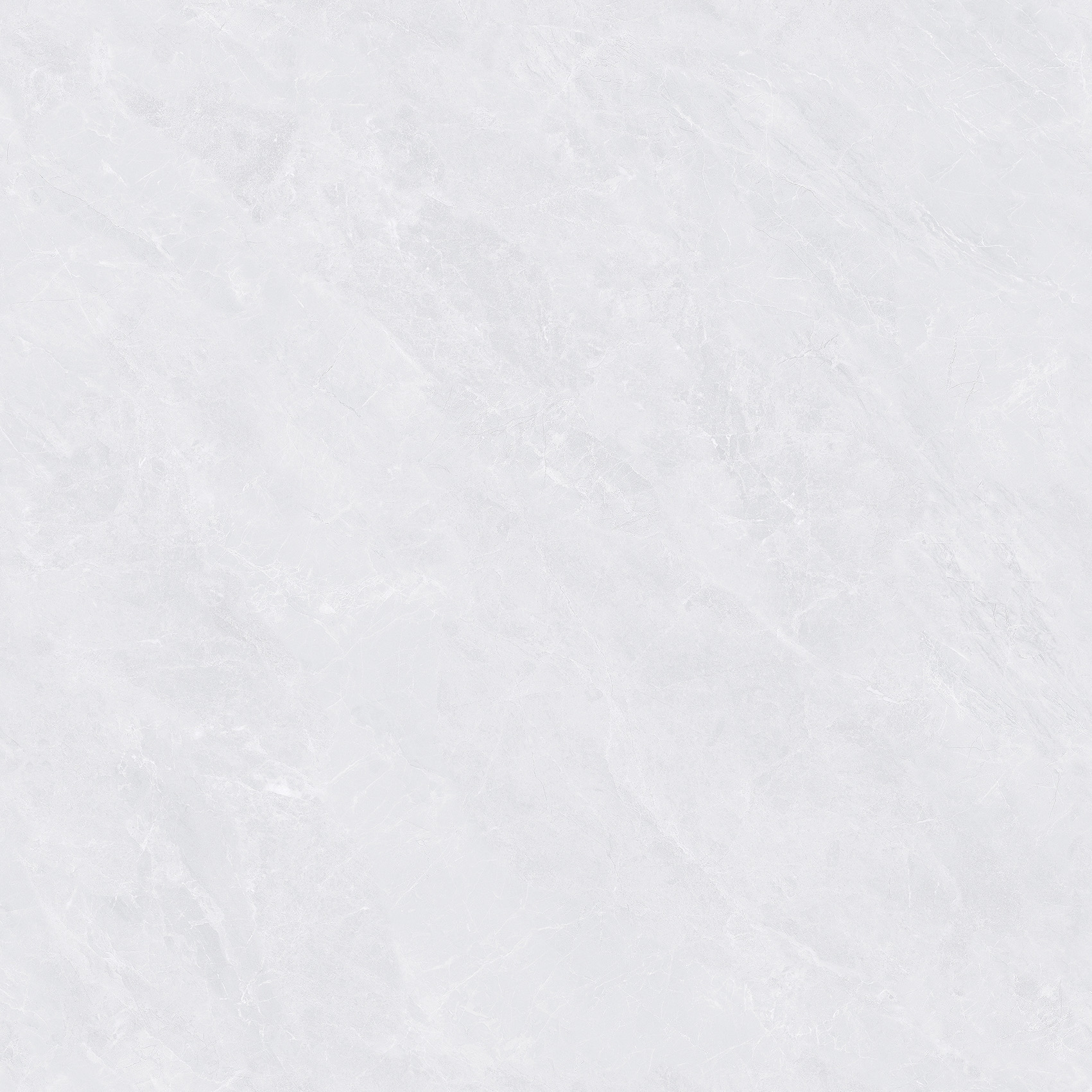 Y58804