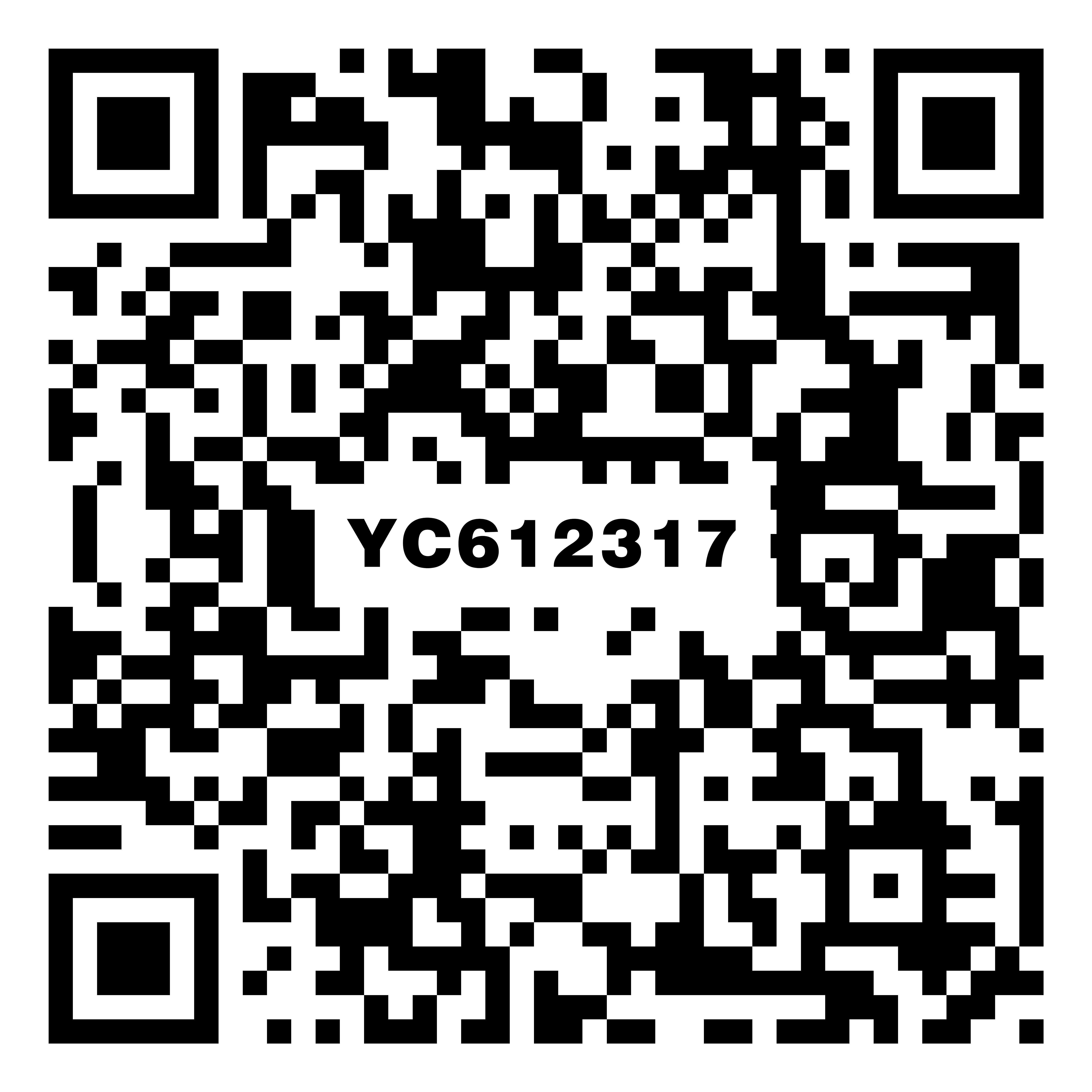 YC612317vr二维码