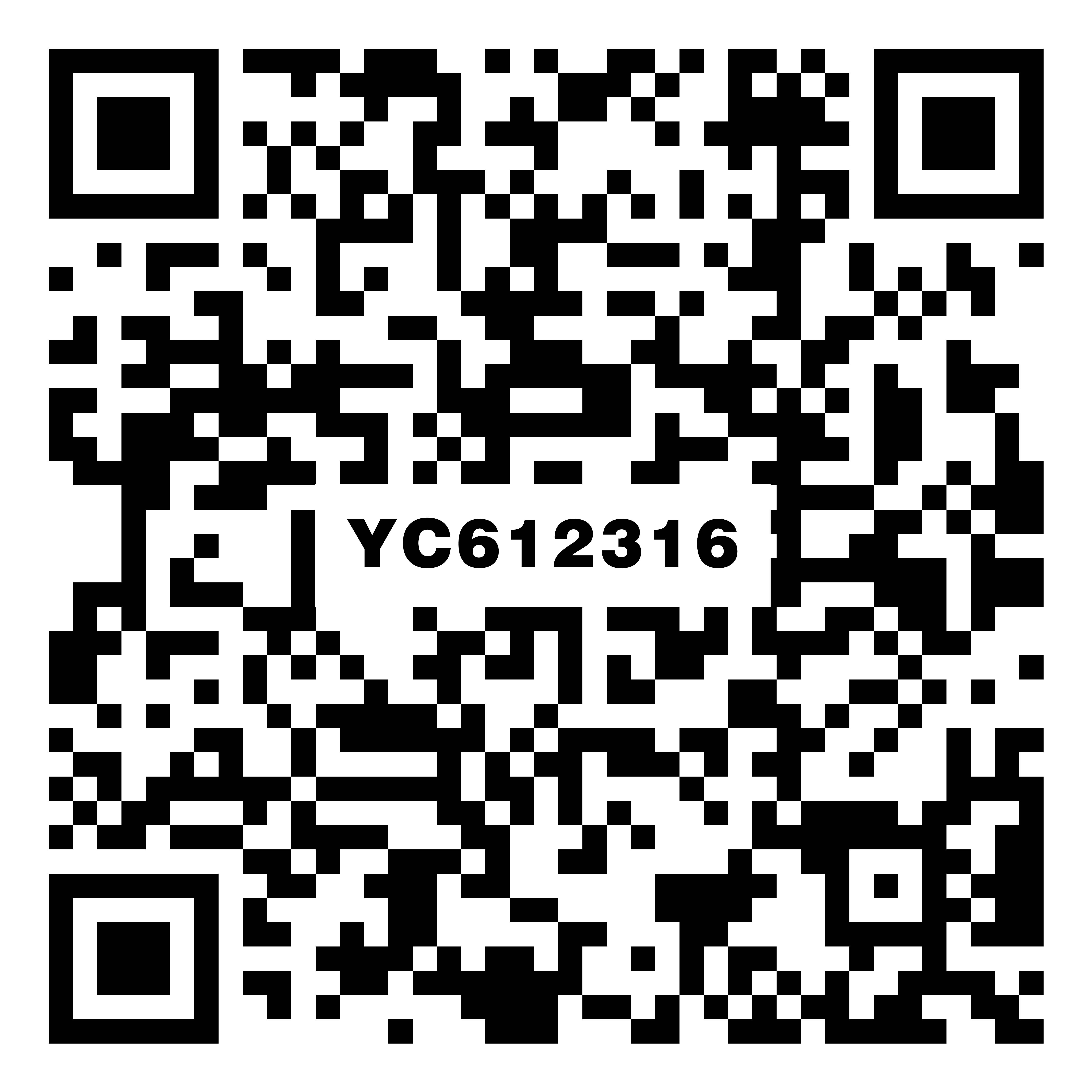 YC612316vr二维码