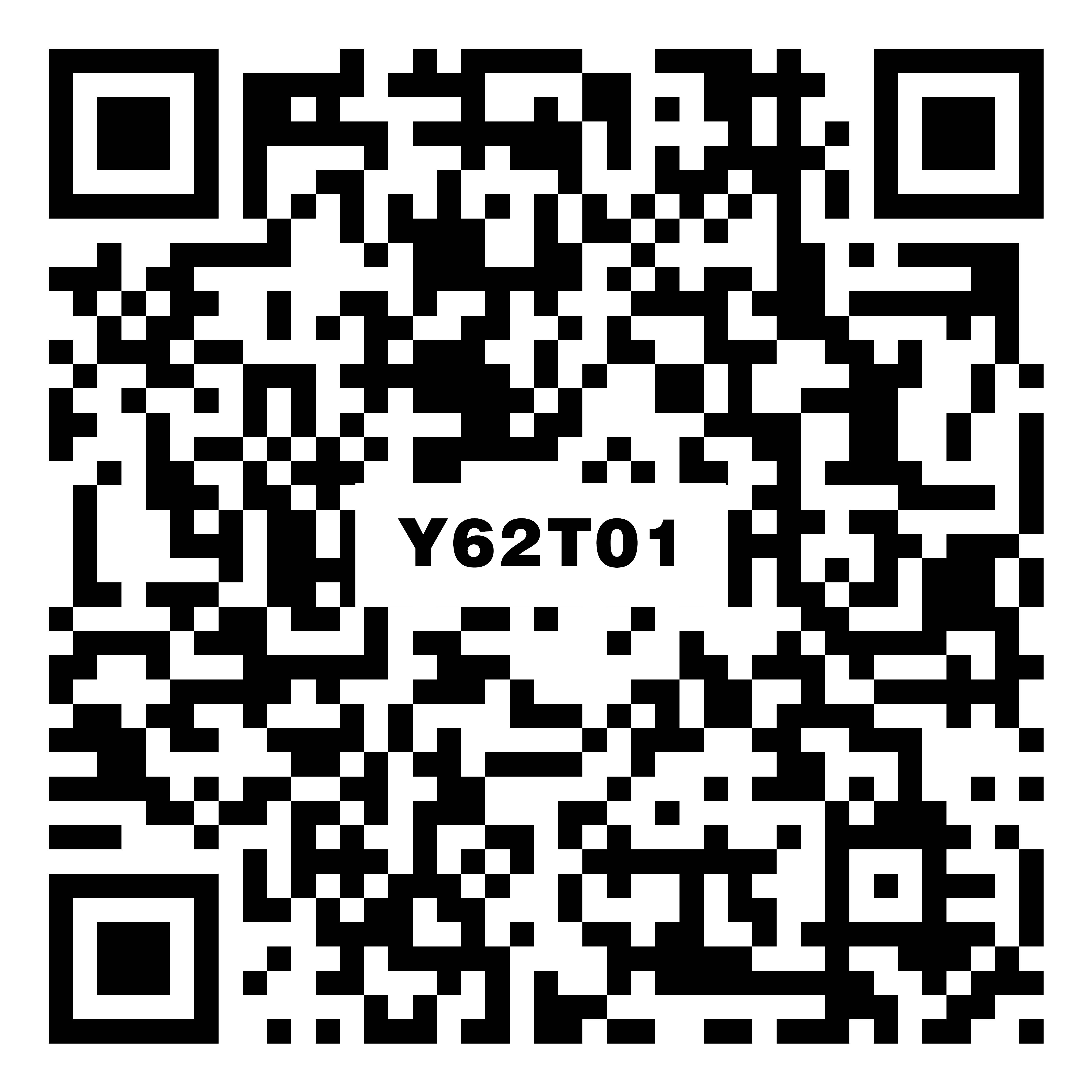 Y62T01奶白vr二维码